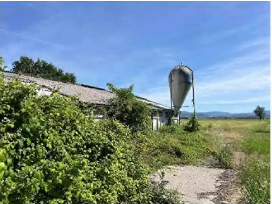 Immagine 3 di Capannone industriale in vendita  in Localita' San Protaso Fiasca Grossa a Fiorenzuola D'arda