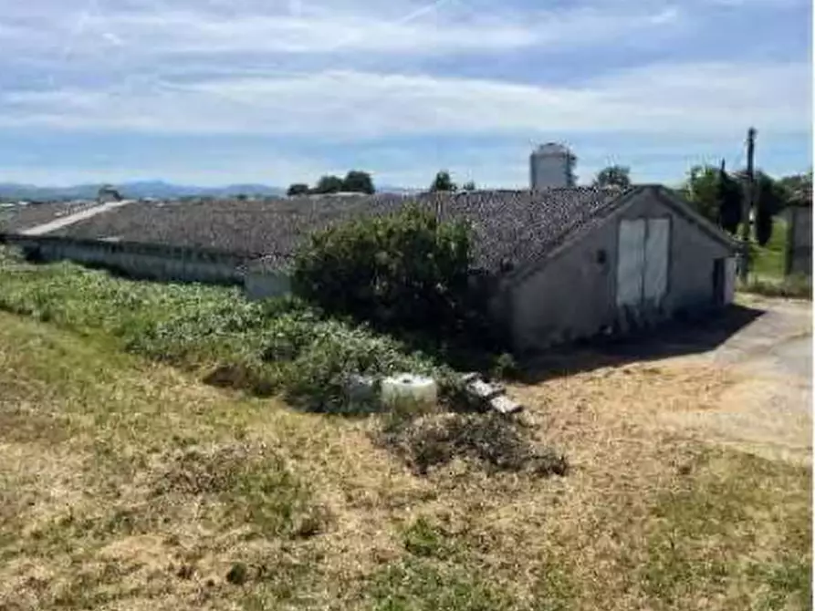 Immagine 4 di Capannone industriale in vendita  in Localita' San Protaso Fiasca Grossa a Fiorenzuola D'arda