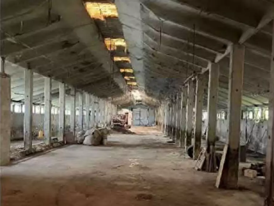 Immagine 6 di Capannone industriale in vendita  in Localita' San Protaso Fiasca Grossa a Fiorenzuola D'arda