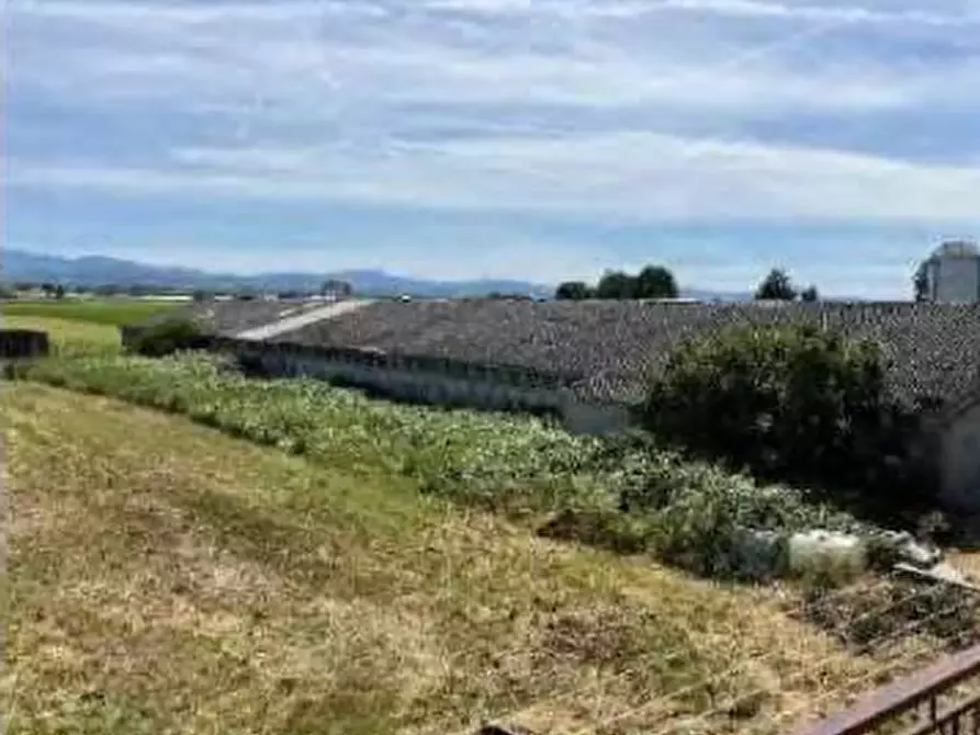 Immagine 13 di Capannone industriale in vendita  in Localita' San Protaso Fiasca Grossa a Fiorenzuola D'arda