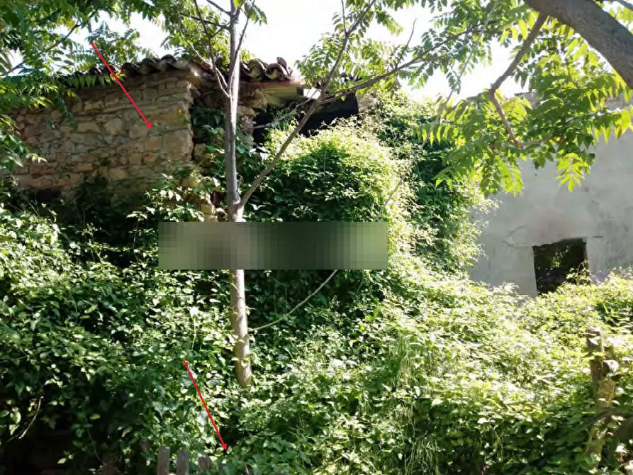 Immagine 1 di Terreno agricolo in vendita  in Localita' Case Varesi a Pianello Val Tidone