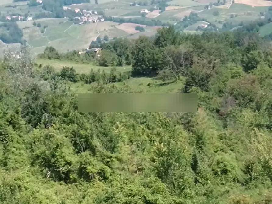 Immagine 3 di Terreno agricolo in vendita  in Localita' Case Varesi a Pianello Val Tidone