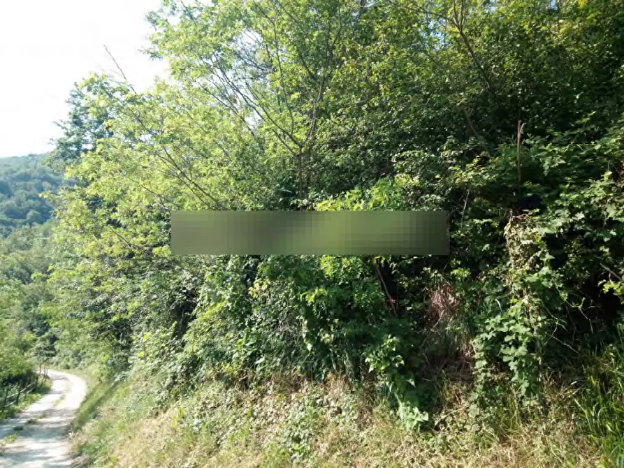 Immagine 4 di Terreno agricolo in vendita  in Localita' Case Varesi a Pianello Val Tidone