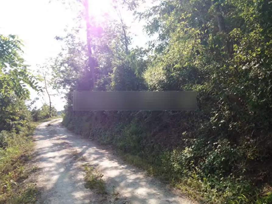 Immagine 5 di Terreno agricolo in vendita  in Localita' Case Varesi a Pianello Val Tidone