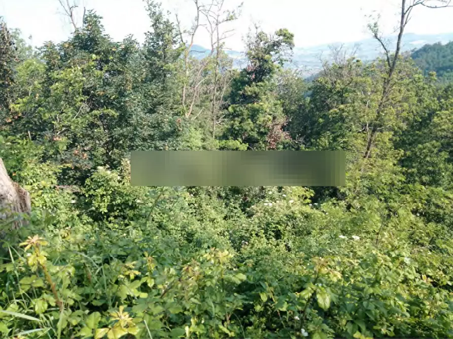 Immagine 6 di Terreno agricolo in vendita  in Localita' Case Varesi a Pianello Val Tidone