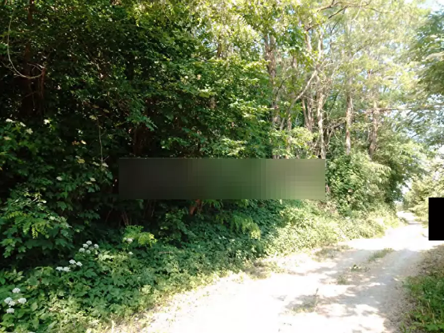 Immagine 8 di Terreno agricolo in vendita  in Localita' Case Varesi a Pianello Val Tidone