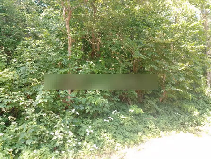 Immagine 9 di Terreno agricolo in vendita  in Localita' Case Varesi a Pianello Val Tidone