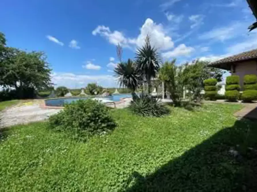 Immagine 6 di Casa indipendente in vendita  in Strada Frati a Mede