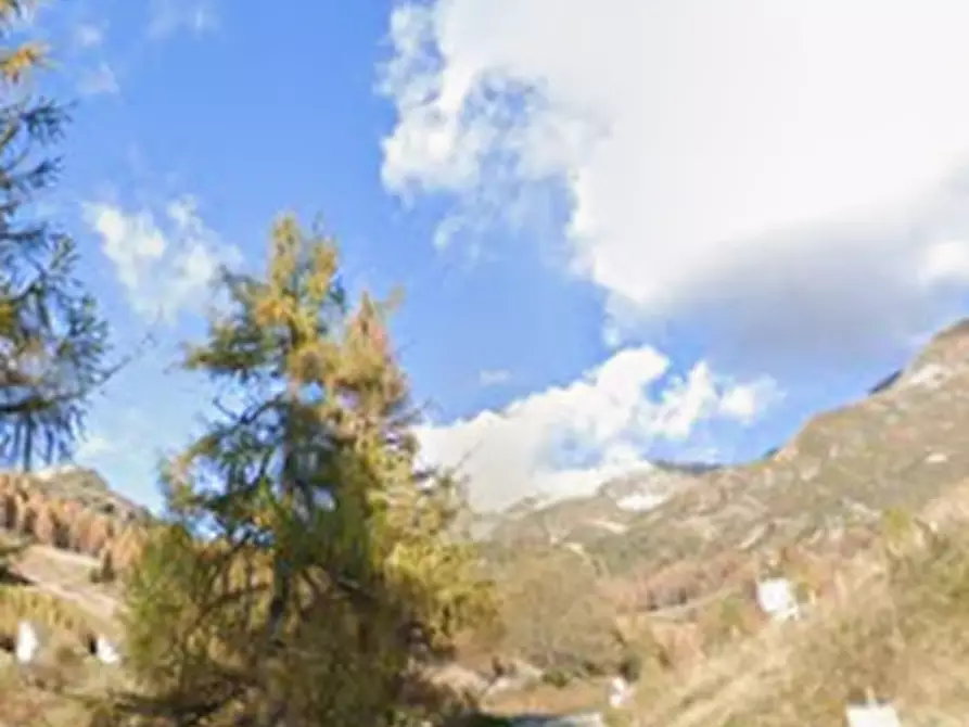 Immagine 10 di Appartamento in vendita  in Via Rovera a Foppolo