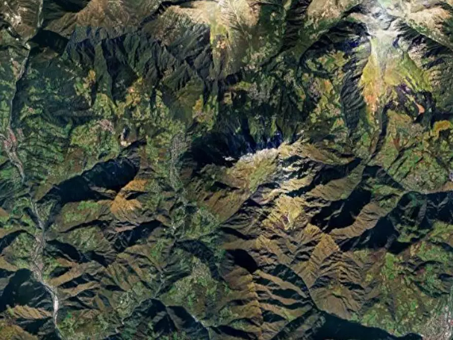 Immagine 4 di Terreno agricolo in vendita  in Località Serina a Serina