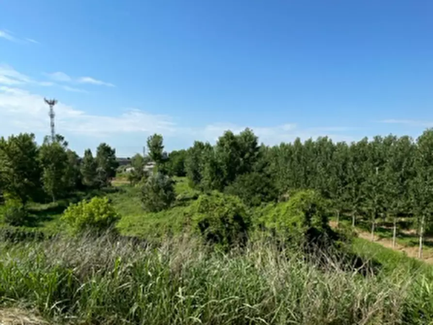 Immagine 1 di Terreno edificabile in vendita  in Via Achille Grandi a Borgo Mantovano