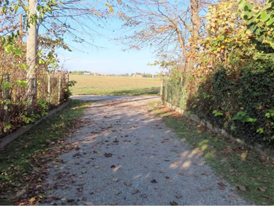 Immagine 3 di Porzione di casa in vendita  in Via Camisotti a Ariano Nel Polesine