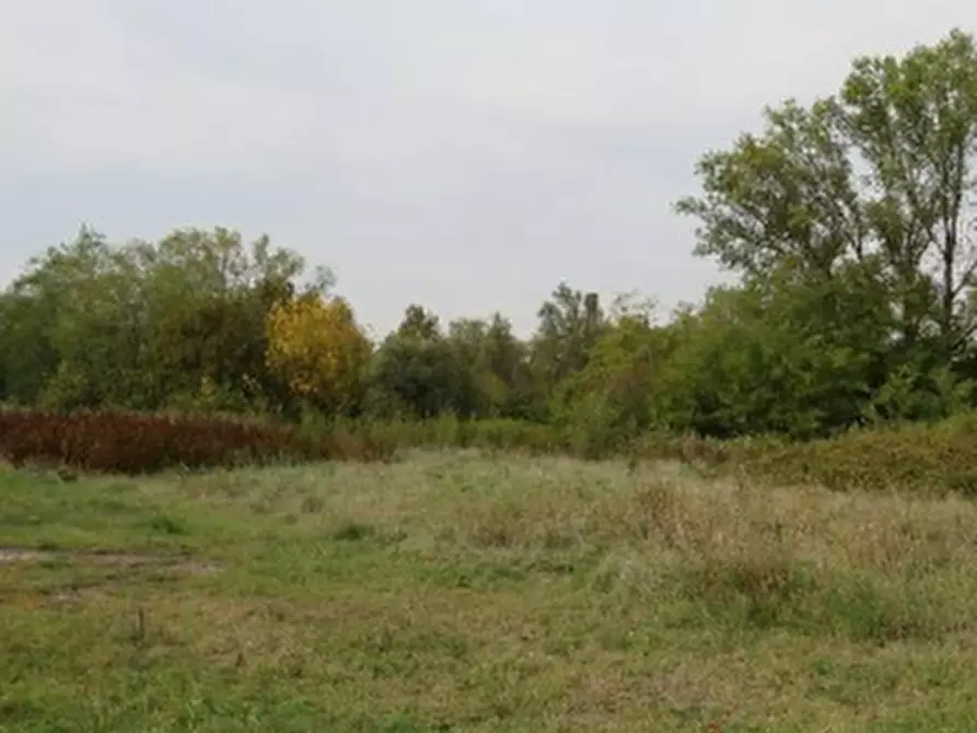 Immagine 2 di Terreno agricolo in vendita  in Località Berra a Riva Del Po