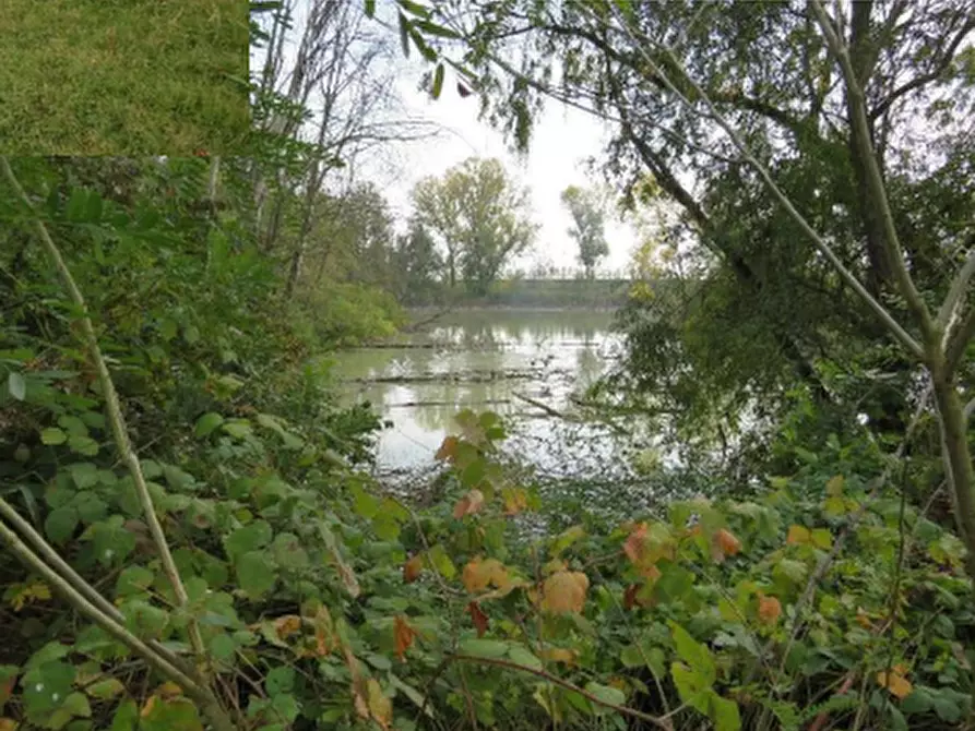 Immagine 3 di Terreno agricolo in vendita  in Località Berra a Riva Del Po