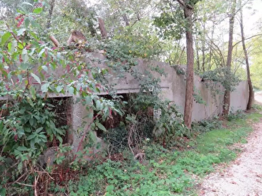 Immagine 5 di Terreno agricolo in vendita  in Località Berra a Riva Del Po