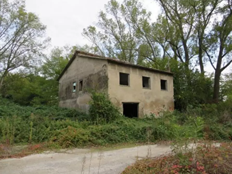 Immagine 6 di Terreno agricolo in vendita  in Località Berra a Riva Del Po