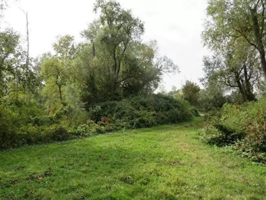 Immagine 9 di Terreno agricolo in vendita  in Località Berra a Riva Del Po