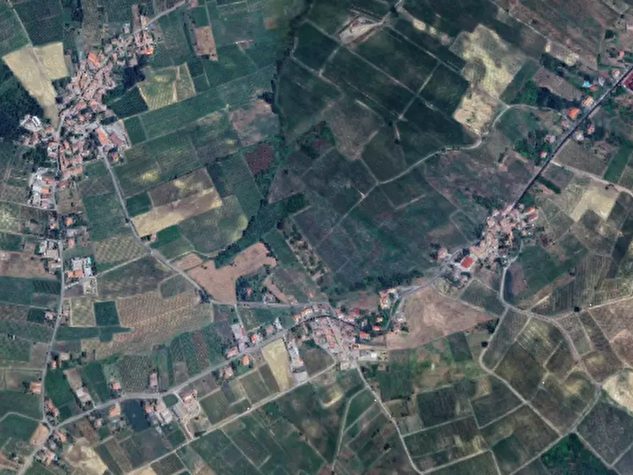 Immagine 4 di Terreno agricolo in vendita  in Frazione Pieve a Rovescala