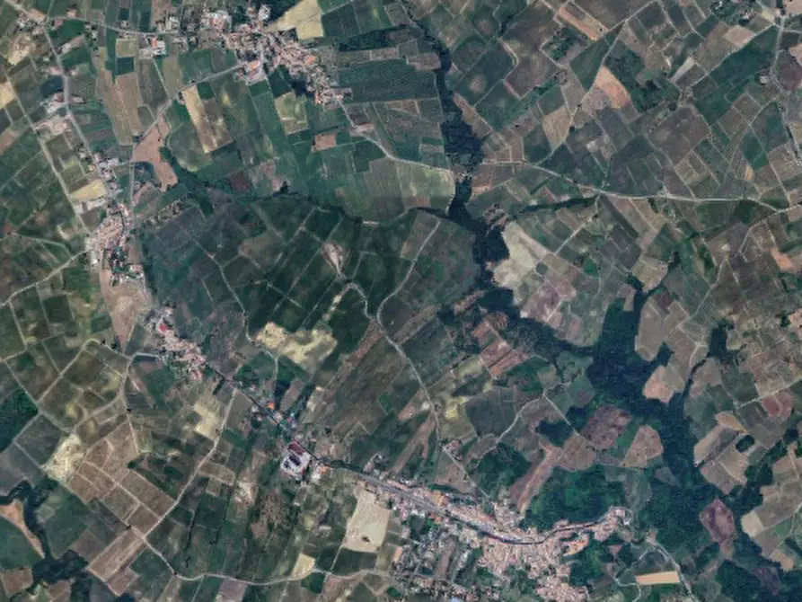 Immagine 6 di Terreno agricolo in vendita  in Frazione Pieve a Rovescala