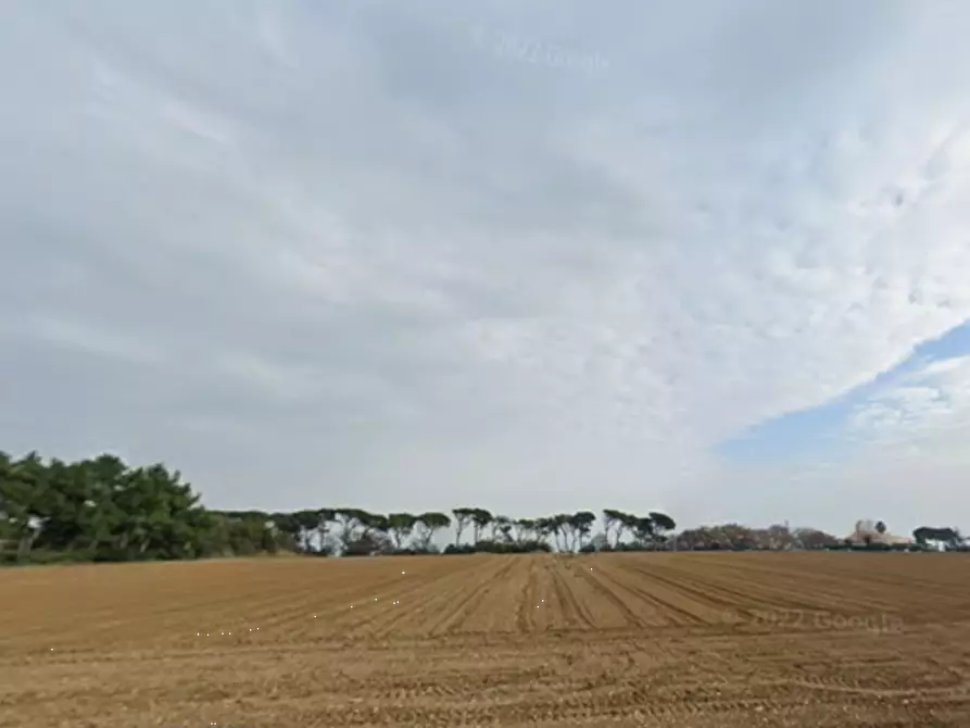 Immagine 6 di Terreno agricolo in vendita  in Via Elpidiense a Sant'elpidio A Mare