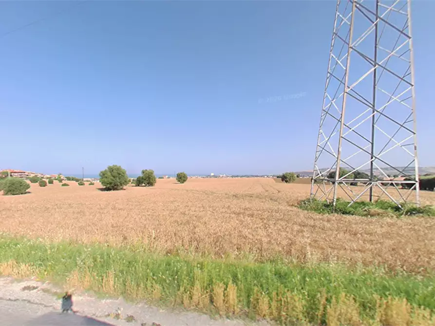 Immagine 7 di Terreno agricolo in vendita  in Via Elpidiense a Sant'elpidio A Mare