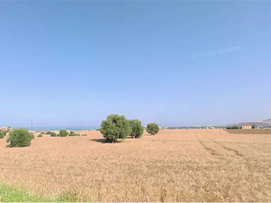 Immagine 8 di Terreno agricolo in vendita  in Via Elpidiense a Sant'elpidio A Mare
