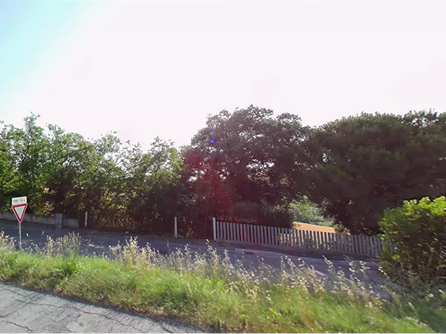 Immagine 9 di Terreno agricolo in vendita  in Via Elpidiense a Sant'elpidio A Mare