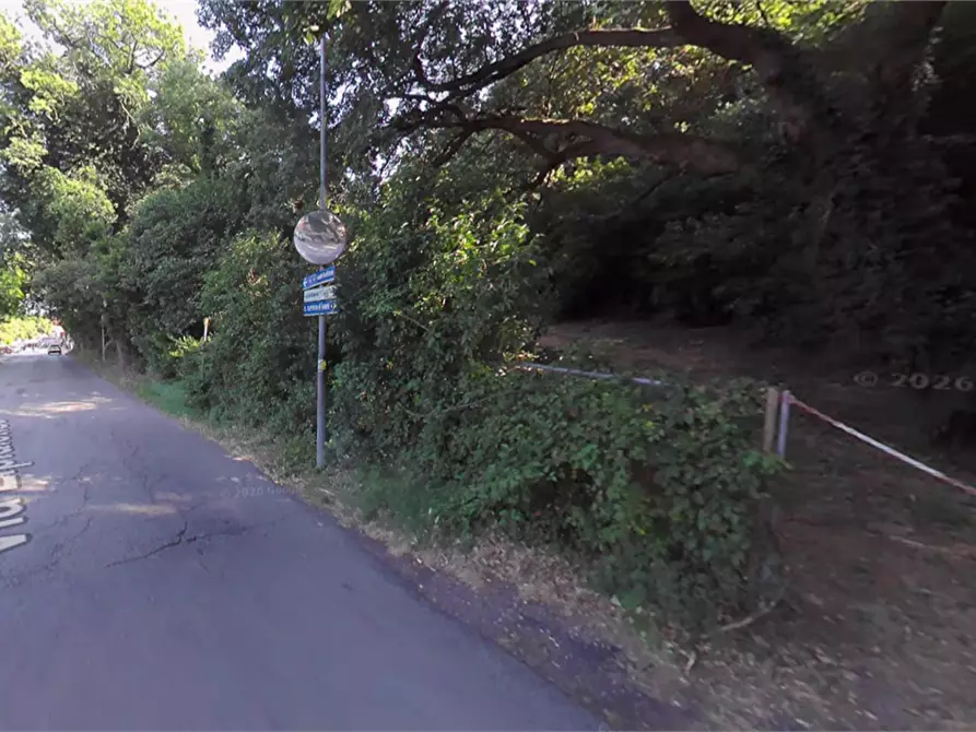 Immagine 10 di Terreno agricolo in vendita  in Via Elpidiense a Sant'elpidio A Mare