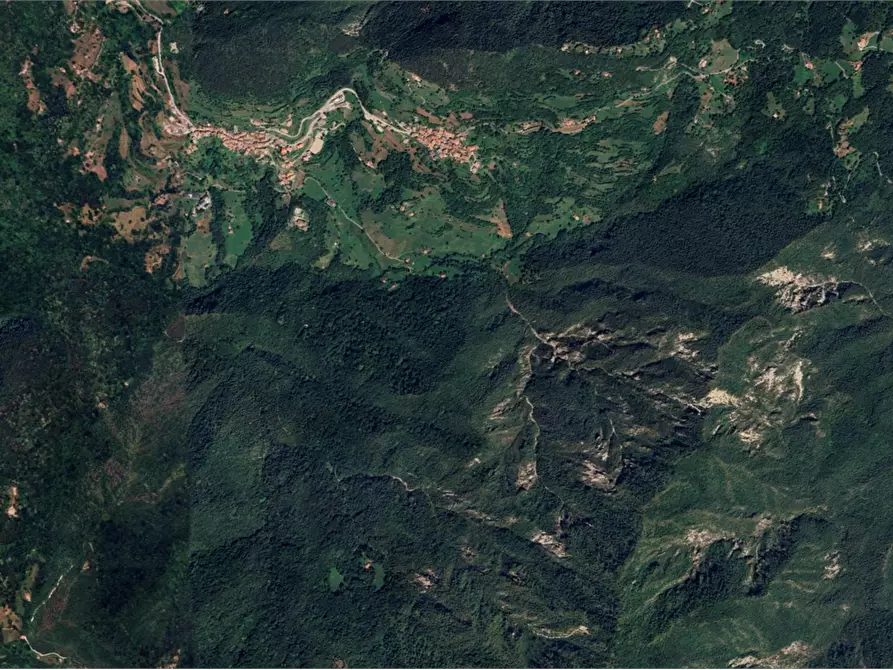 Immagine 1 di Capannone industriale in vendita  in Via Carpen a Treviso Bresciano