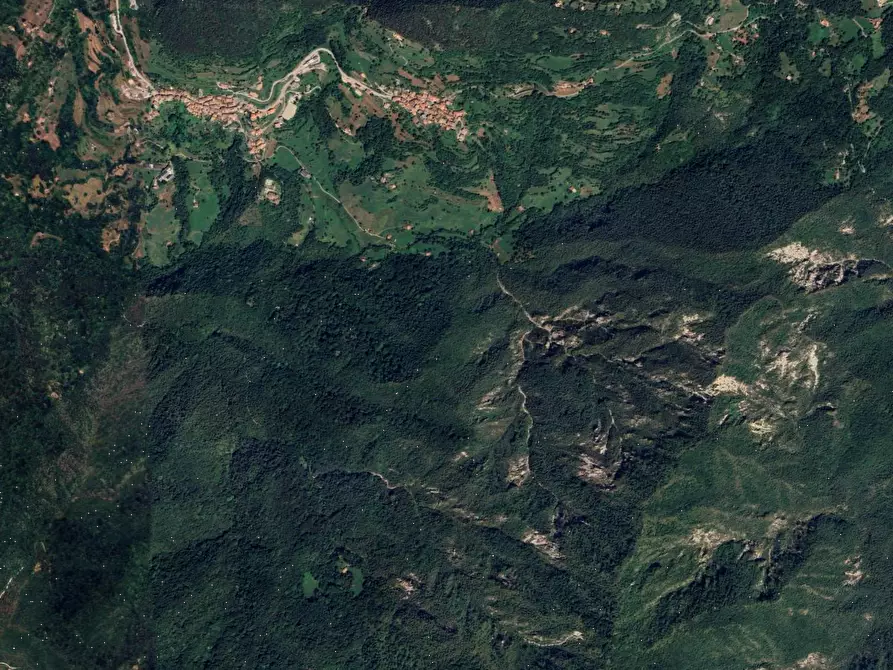 Immagine 3 di Capannone industriale in vendita  in Via Carpen a Treviso Bresciano