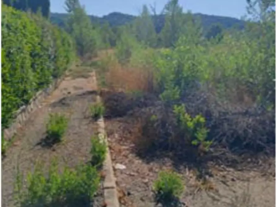 Immagine 5 di Terreno edificabile in vendita  in Strada Colle Umberto a Perugia