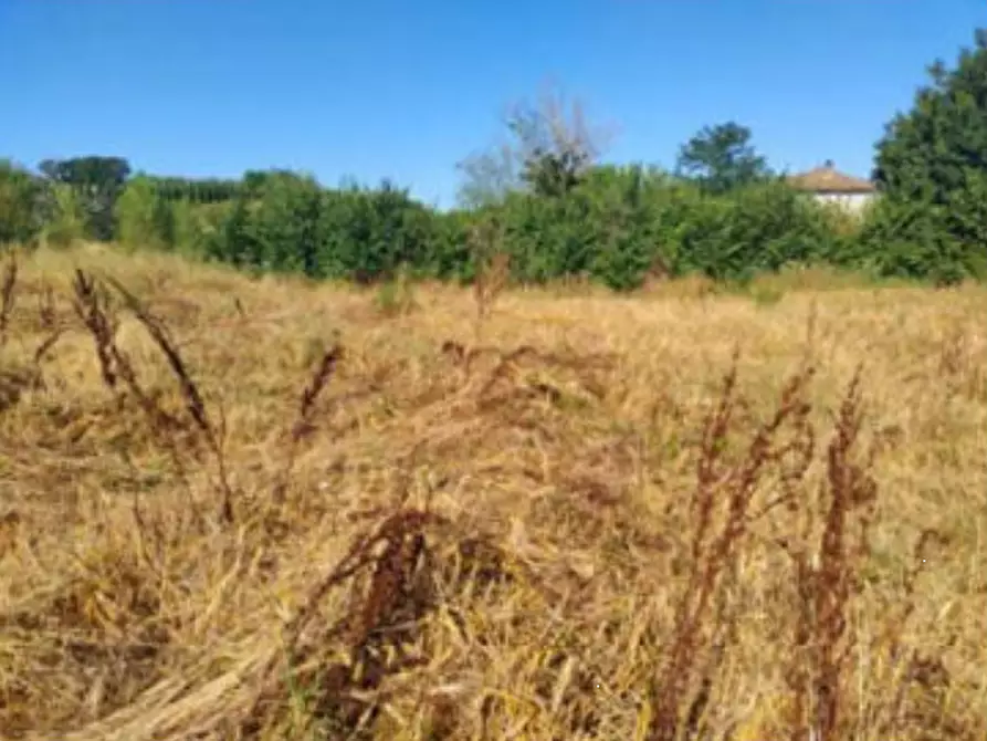 Immagine 8 di Terreno edificabile in vendita  in Strada Colle Umberto a Perugia