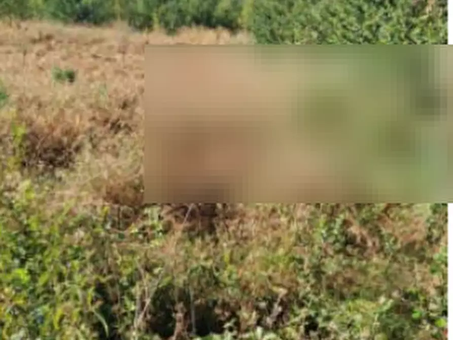 Immagine 13 di Terreno edificabile in vendita  in Strada Colle Umberto a Perugia