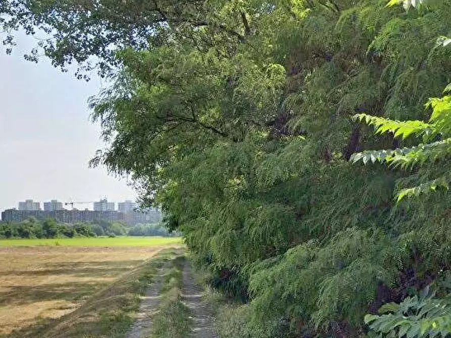 Immagine 3 di Appartamento in vendita  in Via Rozzano a Assago