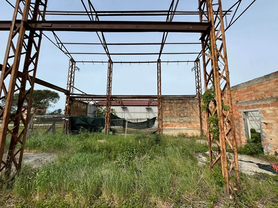 Immagine 4 di Magazzino in vendita  in Via Ancilotto a Eraclea