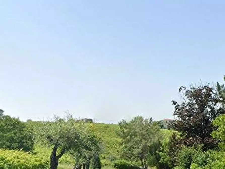 Immagine 4 di Magazzino in vendita  in Frazione Pieve a Rovescala