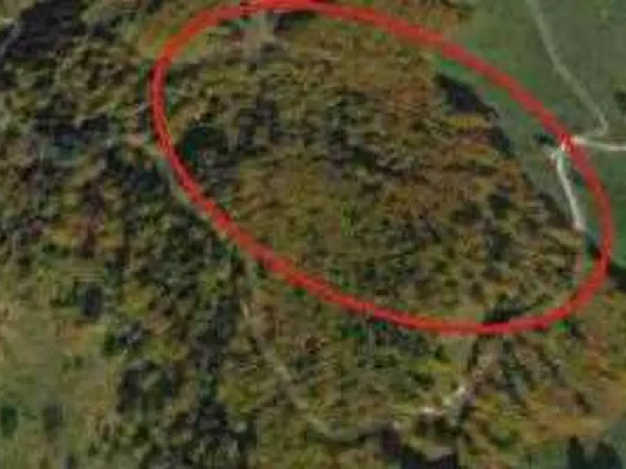 Immagine 9 di Porzione di casa in vendita  in Via Roma a Bosco Chiesanuova