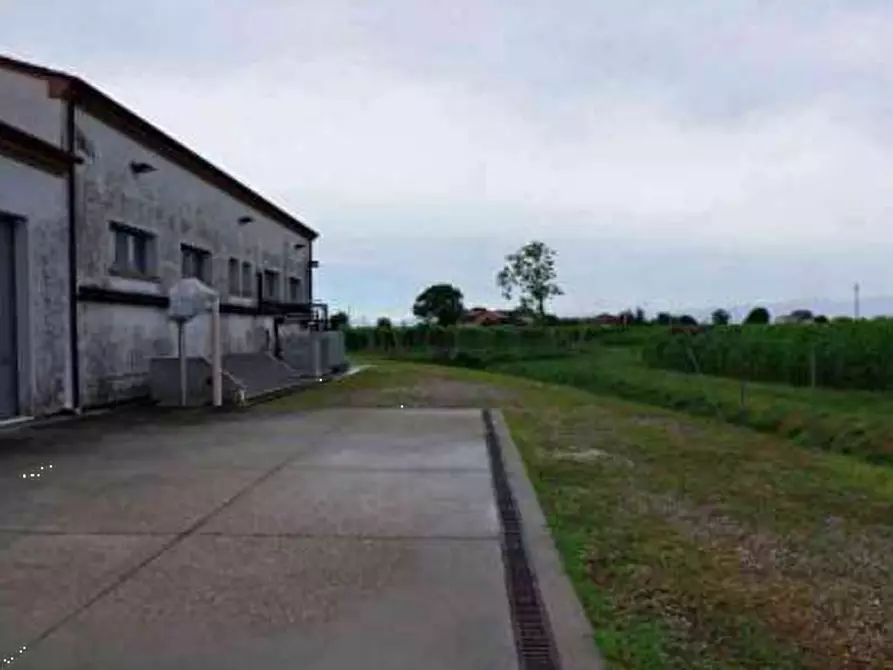 Immagine 10 di Stabile in vendita  in Via Malintrada a Gorgo Al Monticano