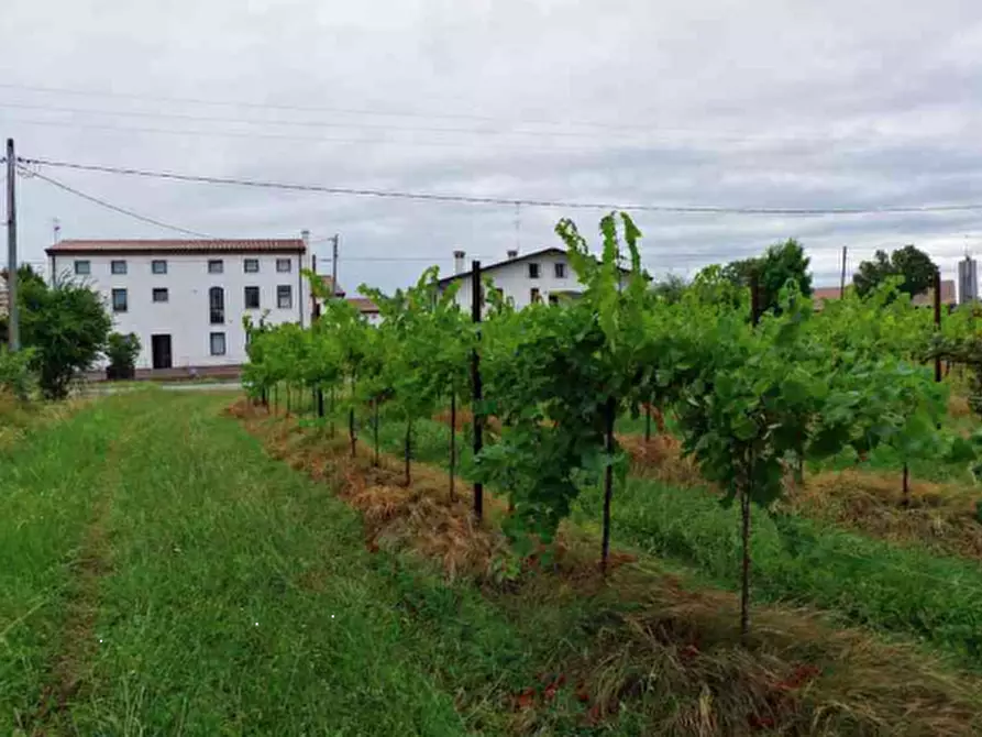 Immagine 18 di Stabile in vendita  in Via Malintrada a Gorgo Al Monticano
