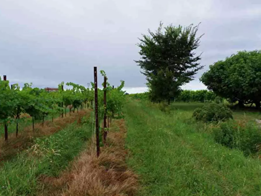 Immagine 19 di Stabile in vendita  in Via Malintrada a Gorgo Al Monticano
