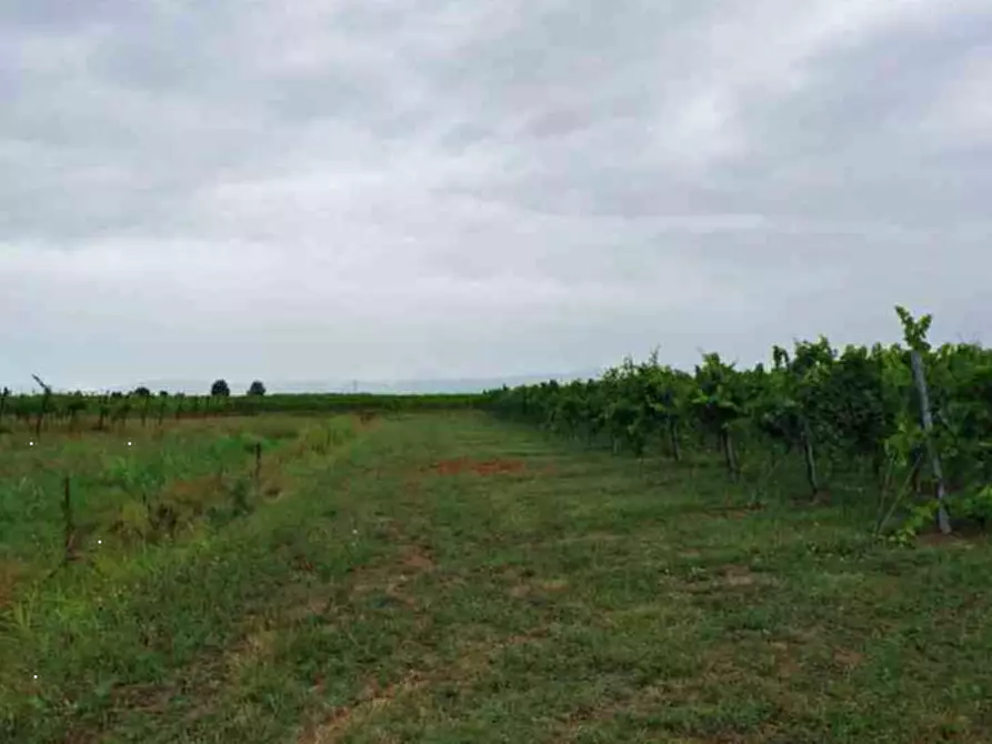 Immagine 24 di Stabile in vendita  in Via Malintrada a Gorgo Al Monticano
