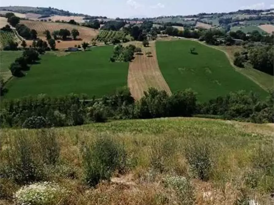Immagine 2 di Terreno agricolo in vendita  in Strada provinciale strada Provinciale per Alteta fino al Fosso il Rio a Montegiorgio
