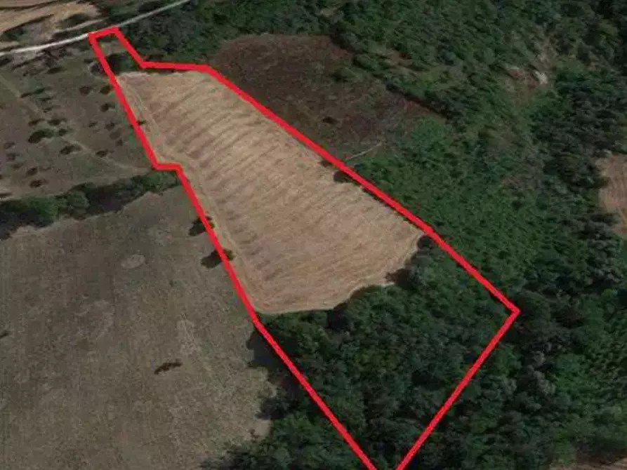 Immagine 1 di Terreno agricolo in vendita  in Strada provinciale strada Provinciale per Alteta fino al Fosso il Rio a Montegiorgio
