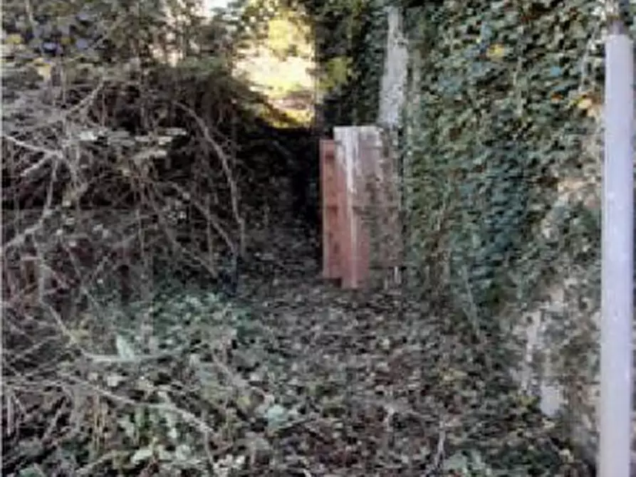 Immagine 2 di Appartamento in vendita  in Località Bucigna a Londa