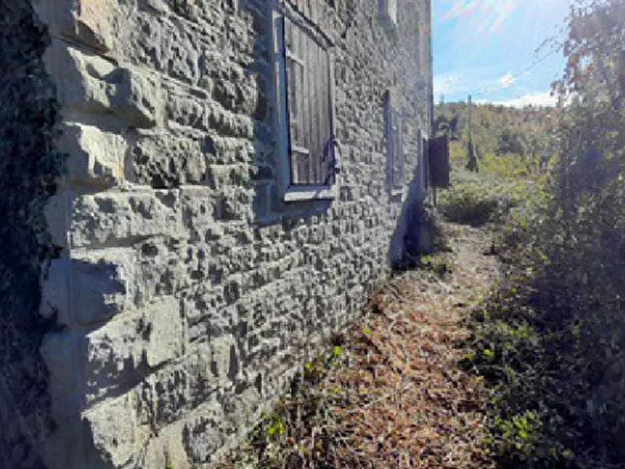 Immagine 4 di Appartamento in vendita  in Località Bucigna a Londa