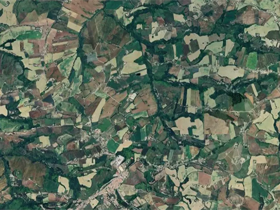Immagine 8 di Terreno agricolo in vendita  in Strada provinciale strada Provinciale per Alteta fino al Fosso il Rio a Montegiorgio