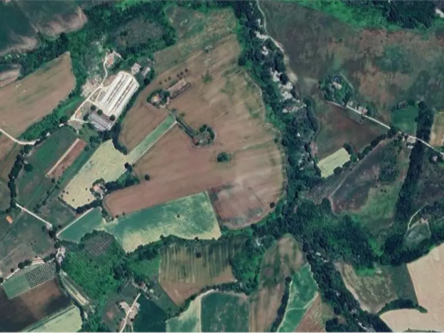 Immagine 7 di Terreno agricolo in vendita  in Strada provinciale strada Provinciale per Alteta fino al Fosso il Rio a Montegiorgio