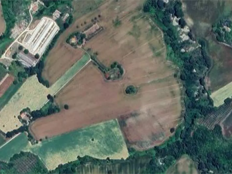 Immagine 9 di Terreno agricolo in vendita  in Strada provinciale strada Provinciale per Alteta fino al Fosso il Rio a Montegiorgio