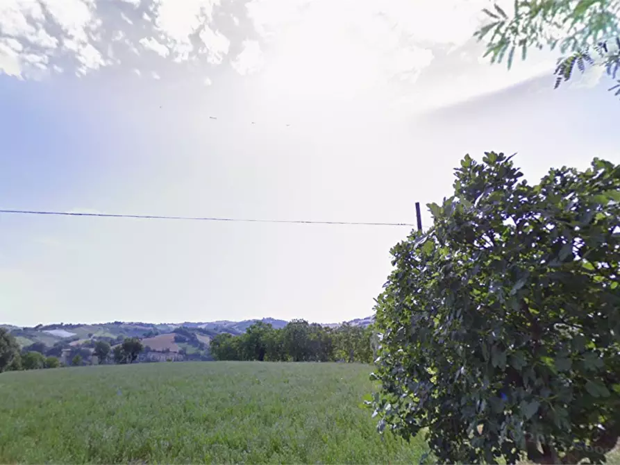 Immagine 6 di Terreno agricolo in vendita  in Strada provinciale strada Provinciale per Alteta fino al Fosso il Rio a Montegiorgio