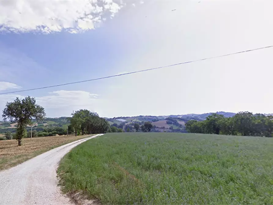 Immagine 4 di Terreno agricolo in vendita  in Strada provinciale strada Provinciale per Alteta fino al Fosso il Rio a Montegiorgio